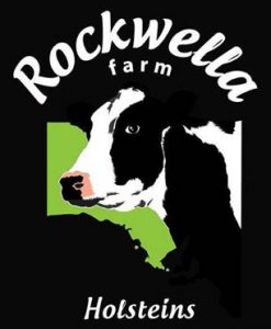 Rockwella Farm logo: illustrated black and white cow